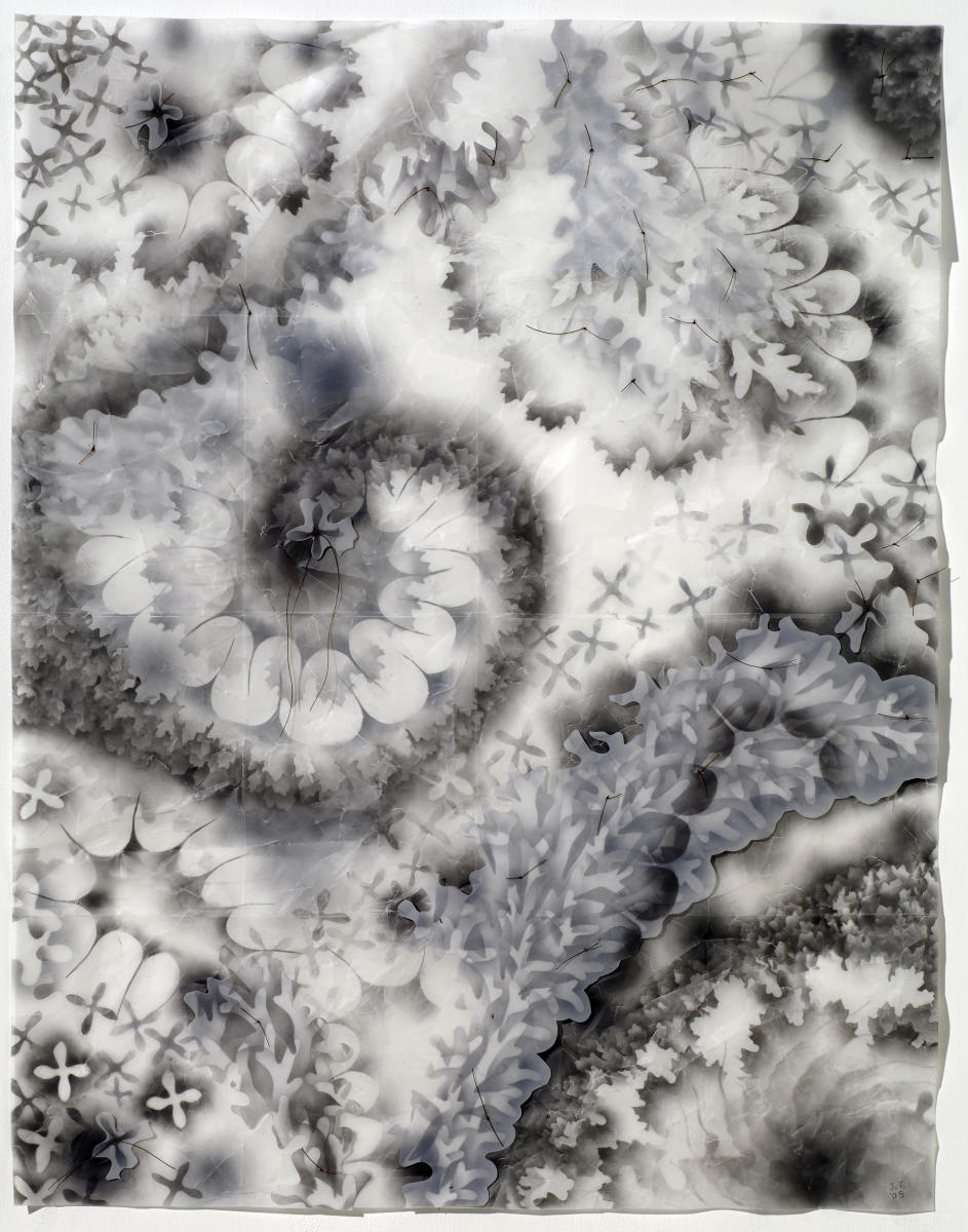 Frottage Collage #5  
2005  
powdered graphite on frosted polyester film  
26" x 22"