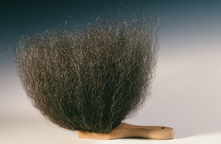 Grey Scrub Brush, 1994
Human hair and wooden brush
9" x 4" x 8"