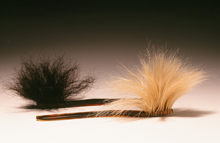 Toothbrushes, 1994
Human hair, plastic brushes