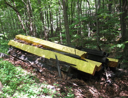 Seeing Far, Seeing Deep (Gold Bars)
2015
aluminum
Wallkill Valley Rail Trail, Rosendale, NY