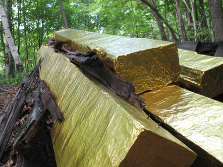 Seeing Far, Seeing Deep (Gold Bars)
2015
aluminum
Wallkill Valley Rail Trail, Rosendale, NY