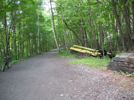 Seeing Far, Seeing Deep (Gold Bars)
2015
aluminum
Wallkill Valley Rail Trail, Rosendale, NY