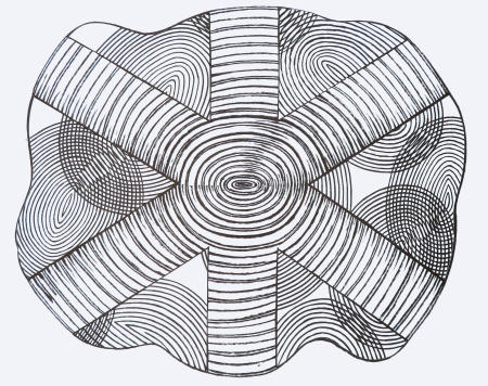 Blossom 2B (Double), 2019
ink on paper
22" x 30"
