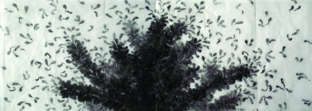 Baptisia, 2009
powdered graphite on frosted polyester film
23" x 62"