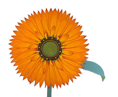 Sunflower (horizontal), 2022
acrylic on paper
22" x 28"