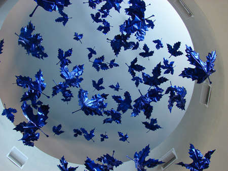 Dream of Flight
(Blue Dream detail)
