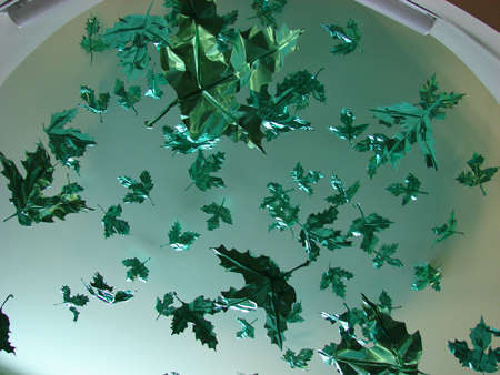 Dream of Flight
(Green Dream detail)